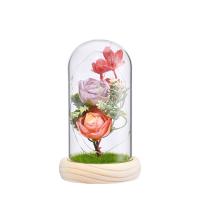 Pine & Artificial Silk & High borosilicate glass & Plastic Creative Preserved Flower Decoration for home decoration PC