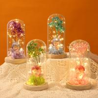 Acrylic & Plastic Creative Preserved Flower Decoration for home decoration & Cute & for gift giving PC