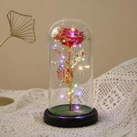 Acrylic & Plastic Creative Preserved Flower Decoration for home decoration & for gift giving PC