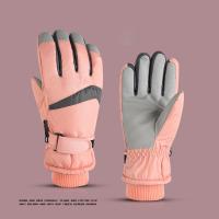 Pongee & Microfiber PU Synthetic Leather windproof & Waterproof Skiing Gloves can touch screen & fleece & thicken & thermal : Pair