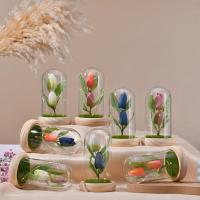 Pine & Artificial Silk & High borosilicate glass Preserved Flower Decoration for home decoration & for gift giving PC