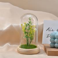 Pine & Hoog borosilicaatglas & Plastic Bewaarde bloemdecoratie meer kleuren naar keuze stuk