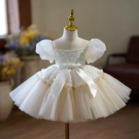Polyester Princess & Ball Gown Girl One-piece Dress champagne PC