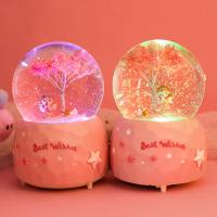 Resin Crystal Globe for home decoration & for gift giving  PC
