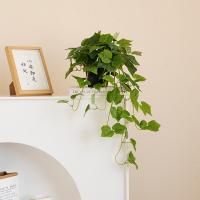 Artificial Silk Table Decoration Artificial Plants for home decoration PC
