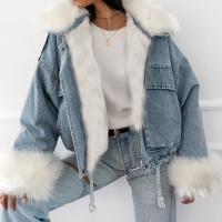 Artificial Fur Women Coat & loose Solid PC