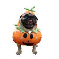Polyester Halloween Costume Pet Dog Clothing PC