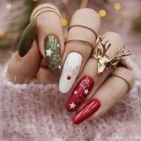 Plastic Creative Fake Nails for women & christmas design Set