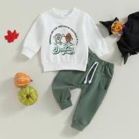 Cotton Boy Clothing Set Pants & top printed Others two different colored Set