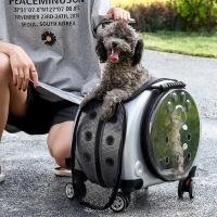 PC-polykarbonát Pouzdro na vozík pro zvířata più colori per la scelta kus