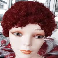 Human Hair short hair Upstyle Wig for women & curling PC