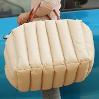 Cloth Pet Carry Handbag portable & thermal PC
