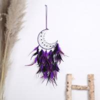 Feather & Iron Easy Matching Dream Catcher Hanging Ornaments Wall Hanging purple PC