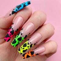 Plastic Creative & Easy Matching Fake Nails zebra pattern multi-colored Set