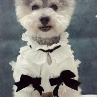Polyester Pet Dog Clothing & breathable white PC