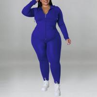 Polyester With Siamese Cap & Plus Size Women Casual Set Long Trousers & coat patchwork Solid Set