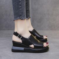 Polyurethane & PU Leather Women Sandals & breathable Others Pair