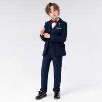 Viscose & Polyester Het Kostuum van de Vrije tijd van de jongen meer kleuren naar keuze Instellen