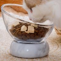 Porcelain & Glass easy cleaning Pet Bowl PC