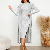 Polyester Slim & High Waist Two-Piece Dress Set Solid light gray Set