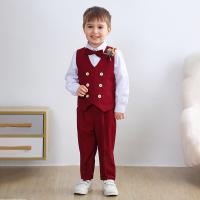 Polyester Slim Boy Leisure Suit Solid Set