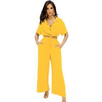 Polyester Wide Leg Trousers & Soft Women Casual Set deep V & two piece Solid Set