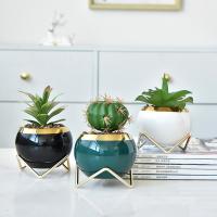 Ceramics Flower Pot Plants are not included & three piece handmade mixed colors Set