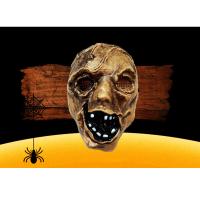 Kunststoff Halloween-Maske, Kunststoff-Injektion,  Stück