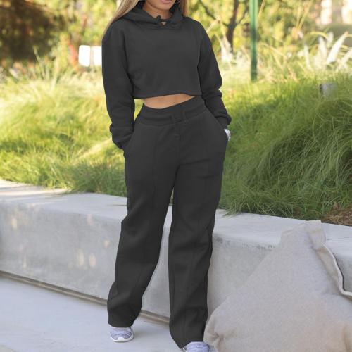 Polyester Women Casual Set & loose Long Trousers & Sweatshirt patchwork Solid Set
