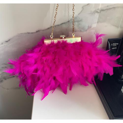 Metal & Feather Easy Matching Clutch Bag PC
