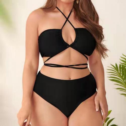 Spandex & Polyester Plus Size Bikini & padded Solid Set