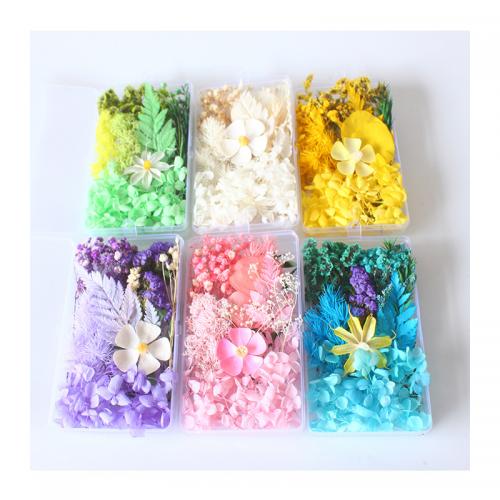 Dried Flower DIY Craft Flower for gift giving Box