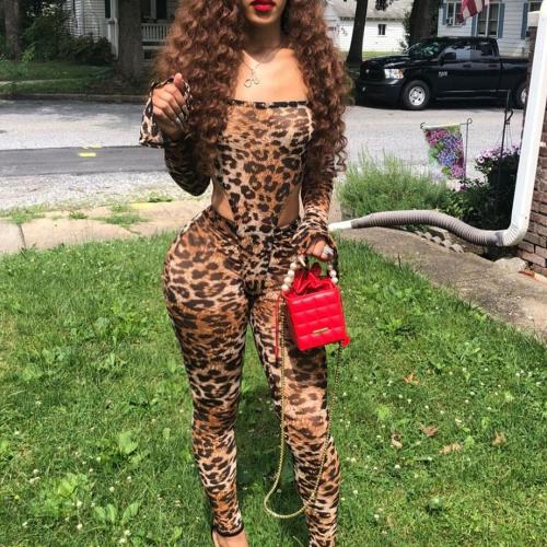 Polyester Off Shoulder Women Casual Set & skinny Long Trousers & teddy printed leopard Set