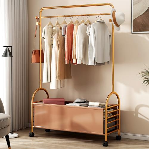Iron Clothes Hanging Rack with pulley stoving varnish PC
