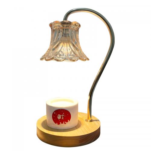 Glass & Iron Fragrance Lamps different power plug style for choose & durable PC