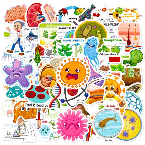 PVC Rubber & Pressure-Sensitive Adhesive easy cleaning & Waterproof Decorative Sticker for home decoration Bag