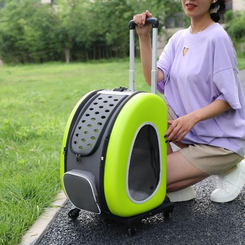 PVC & EVA & Oxford Space Capsule Pet Trolley Case portable & breathable PC