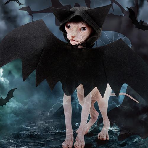 Senti Costumes d’halloween pour animaux de compagnie Noir : pièce