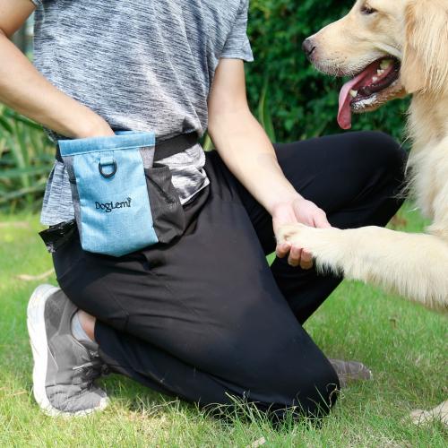 Canvas Pet Training Waist Bag portable Nylon letter PC