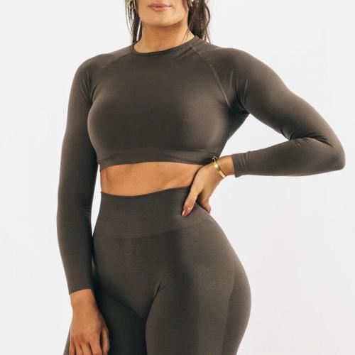 Polyamide & Spandex Women Yoga Clothes Set & two piece & breathable long sleeve T-shirt & Pants Solid Set