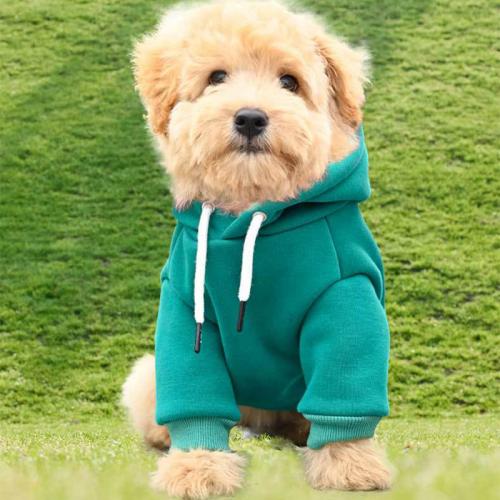 Spandex & Polyester & Coton Vêtements pour chiens de compagnie Solide plus de couleurs pour le choix pièce