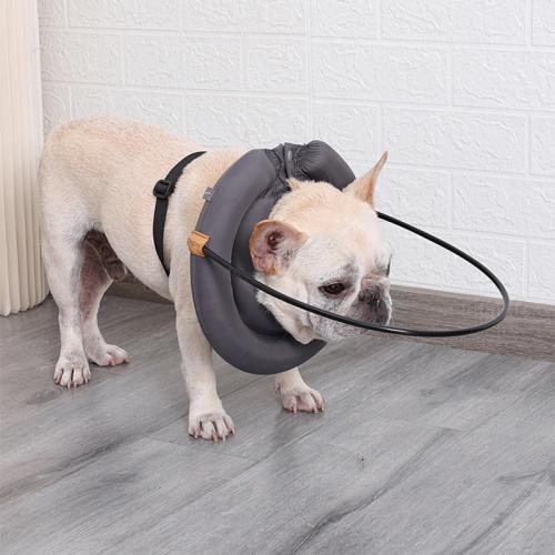 Rubber & Polyester Blind Pet Collar gray PC