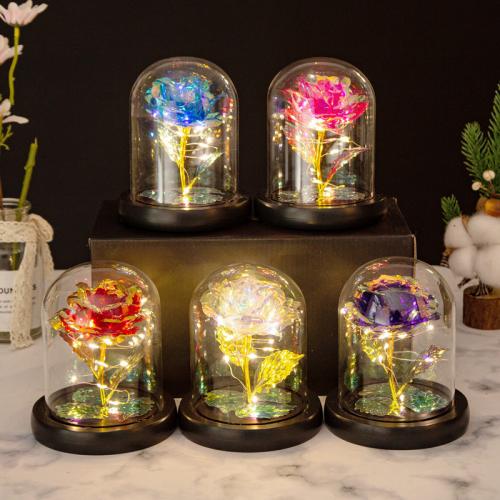 Glass & Plastic Valentines Gift Preserved Flower Decoration Battery Type & with LED lights PC