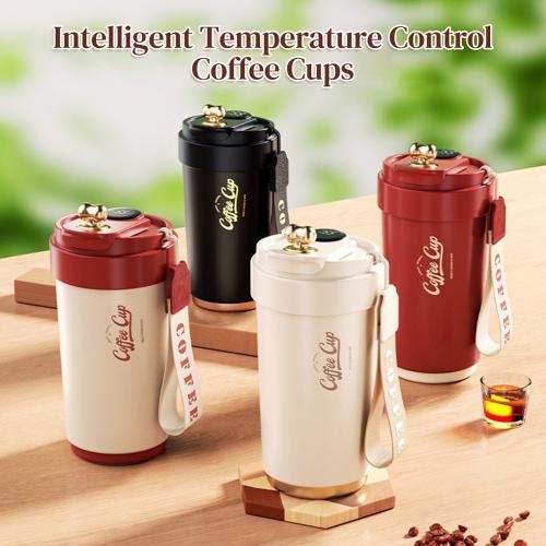 316 Stainless Steel Vacuum Bottle Solid PC