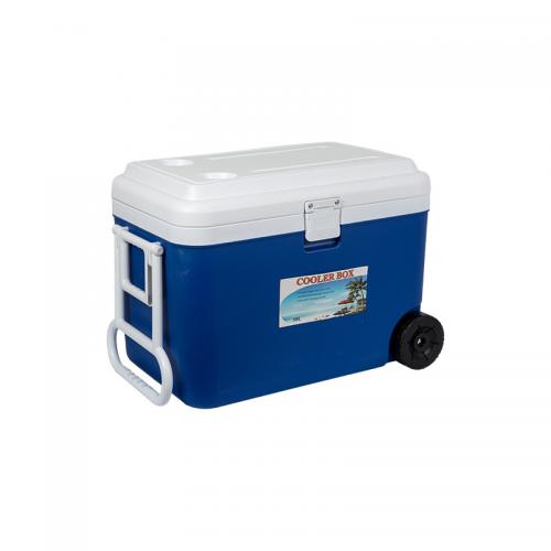 Uitgebreid polystyreen & PE Plastic & Polypropyleen-PP Outdoor Ice Box Blauwe stuk