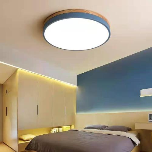 Acrylic & Iron Adjustable Light Color Ceiling Light Solid PC