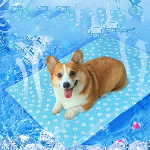 Gelatin & PVC easy cleaning & Waterproof Pet Ice Pad hardwearing  PC