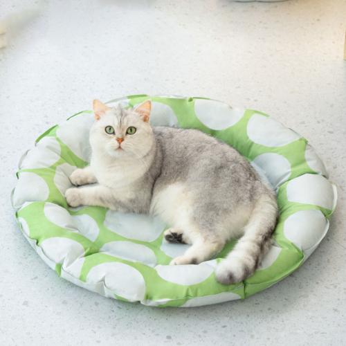 Gelatin & PVC easy cleaning & Waterproof Pet Ice Pad hardwearing Solid PC