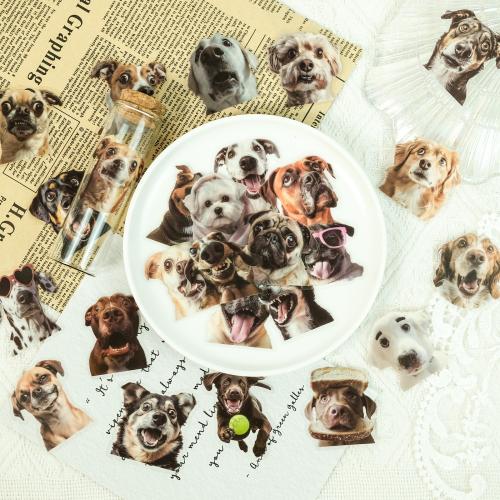 Pressure-Sensitive Adhesive & PET Waterproof Decorative Sticker durable & Cute Bag