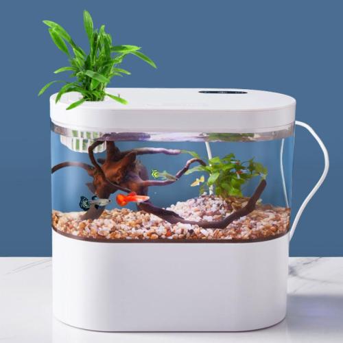 Plastic Aquarium Mini PC